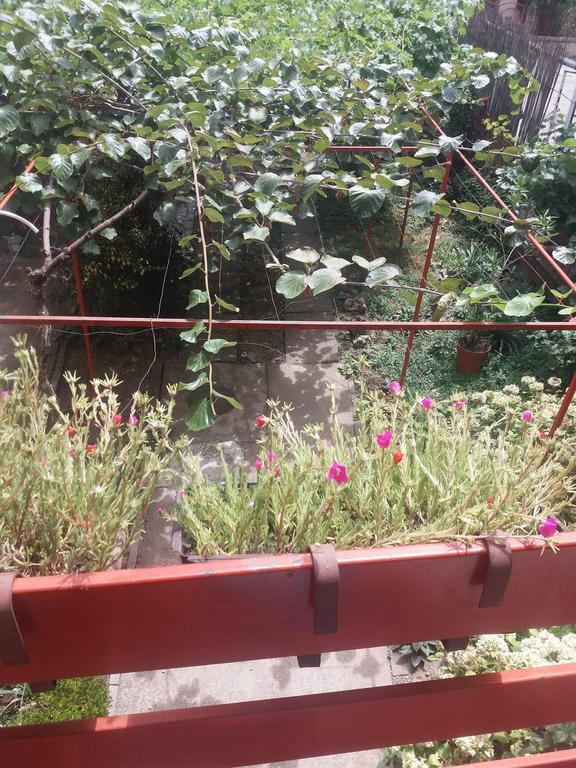 Julija Guest House Ohrid Bagian luar foto